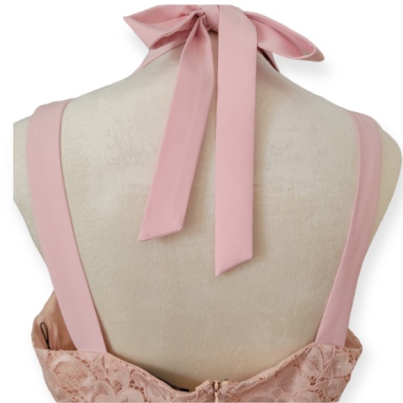 SAM EDELMAN PETAL PINK THICK STRAP LACE DRESS SIZE 10 - Picture 7 of 14